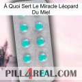 À Quoi Sert Le Miracle Léopard Du Miel 28